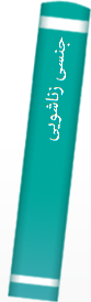 جنسی زناشویی