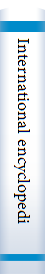 International encyclopedia of Islamic dynasties
