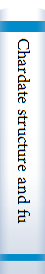 Chardate structure and function
