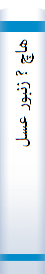 هاچ ? زنبور عسل
