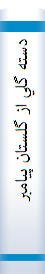 دسته گلي از گلستان پيامبر ص