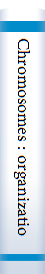 Chromosomes : organization and function