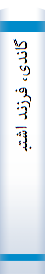 گ‍ان‍دی‌، ف‍رزن‍د اش‍ت‍ب‍اه‌ زم‍ان‌: م‍ح‍ی‍ط زن‍دگ‍ی‌ اج‍ت‍م‍اع‍ی‌ و س‍ی‍اس‍ی‌ و رس‍ال‍ت‌ ج‍ه‍ان‍ی‌ م‍ه‍ات‍م‍ا گ‍ان‍دی‌ در روش‍ن‍ائ‍ی‌ ق‍رن‌ ب‍ی‍س‍ت‍م‌
