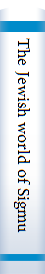 The Jewish world of Sigmund Freud :essays on cultural roots and the problem of religious identity