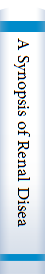 A Synopsis of Renal Diseases