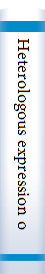 Heterologous expression of membrane proteins