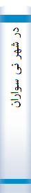 در شهر نی سواران