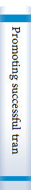 Promoting successful transition to adulthood for students with disabilities