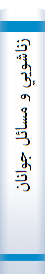 ‎زناشويي و مسائل جوانان