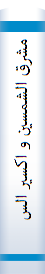 ‎مشرق الشمسين و اکسير السعادتين‎