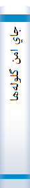 ‎جاي امن گلوله‌ها
