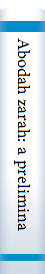 Abodah zarah: a preliminary translation and explanation