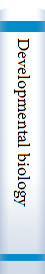 Developmental biology