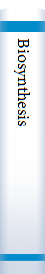 Biosynthesis