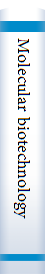 Molecular biotechnology 