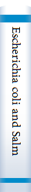 Escherichia coli and Salmonella typhimurium 