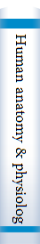 Human anatomy & physiology