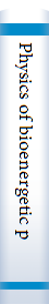 Physics of bioenergetic processes