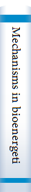 Mechanisms in bioenergetics;  proceedings