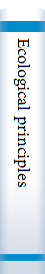 Ecological principles