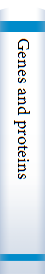 Genes and proteins