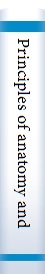 Principles of anatomy and physiology