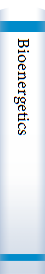 Bioenergetics