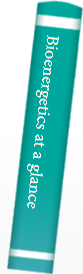 Bioenergetics at a glance