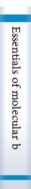 Essentials of molecular biology