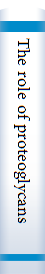 The role of proteoglycans and glycosaminolglycans in aging