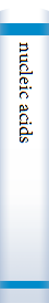 nucleic acids 