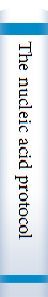 The nucleic acid protocols handbook