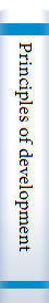 Principles of development