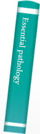 Essential pathology