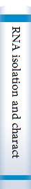 RNA isolation and characterization protocols