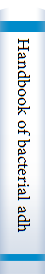 Handbook of bacterial adhesion