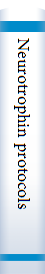Neurotrophin protocols