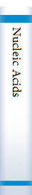 Nucleic Acids