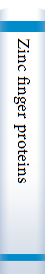Zinc finger proteins 