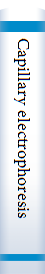 Capillary electrophoresis 