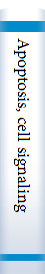 Apoptosis, cell signaling, and human diseases 