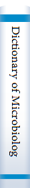 Dictionary of Microbiology and Molecular Biology