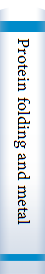 Protein folding and metal ions 