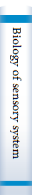 Biology of sensory systems