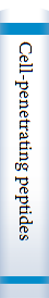 Cell-penetrating peptides 