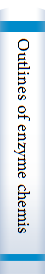 Outlines of enzyme chemistry