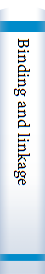 Binding and linkage 
