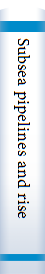Subsea pipelines and risers /Yong Bai.