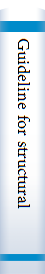 Guideline for structural condition assessment of existing buildings.