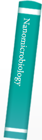 Nanomicrobiology 